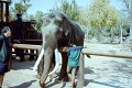 Thailand 2001-EX78